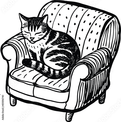 cute and playful cat illustrations and silhouette 