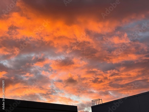 sunset in the city