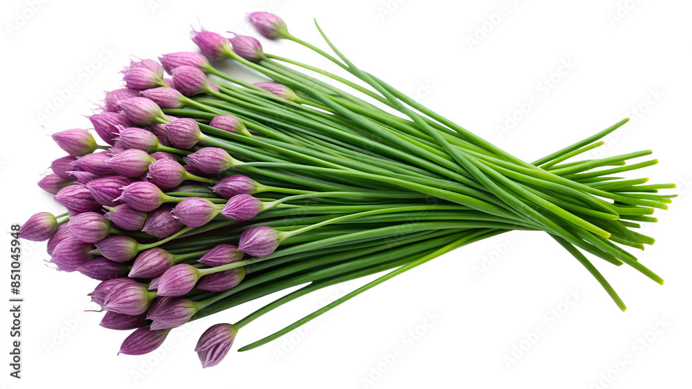Fototapeta premium chives photo from above on isolated background