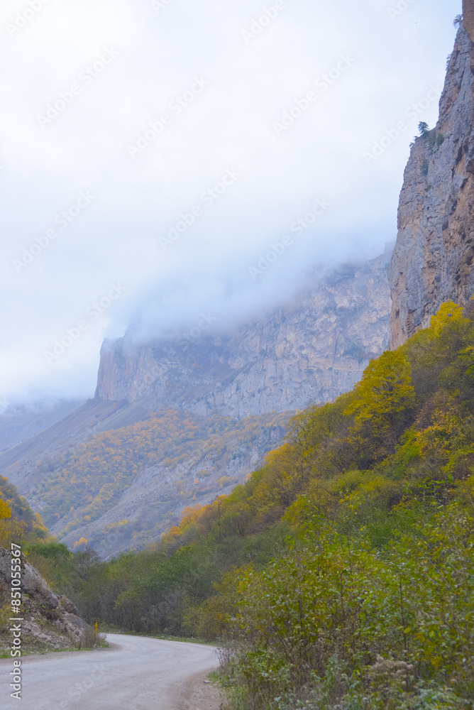 Mountain scenic winding road. The yellow-green forested hills in the background are covered in fog.