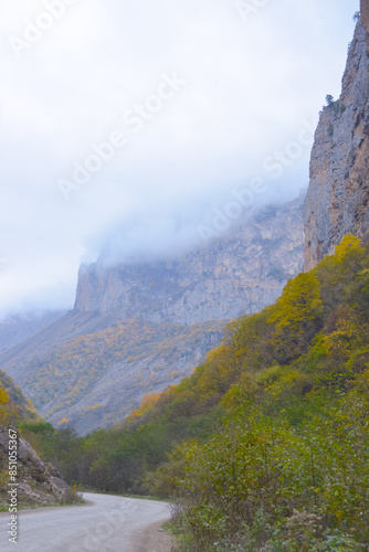 Obraz na płótnie Mountain scenic winding road. The yellow-green forested hills in the background are covered in fog. w salonie