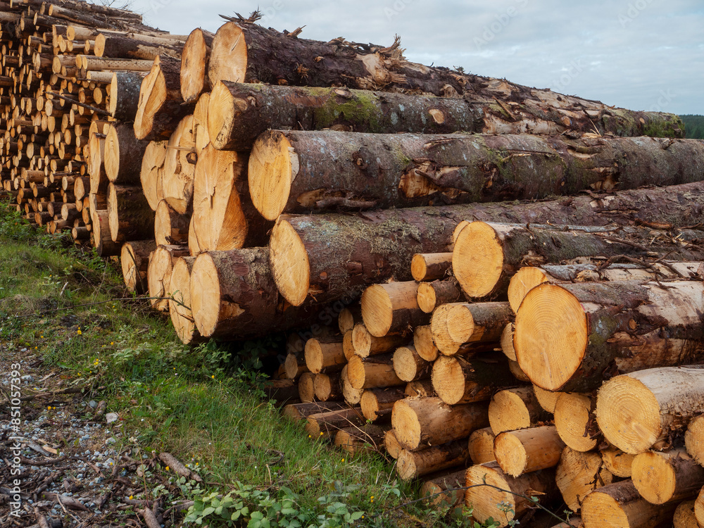 A large pile of wood logs is stacked on top of each other. The logs are brown and appear to be freshly cut. The scene is set against a backdrop of a cloudy sky. Raw material production industry A large pile of wood logs is stacked on top of each other. The logs are brown and appear to be freshly cut. The scene is set against a backdrop of a cloudy sky. Raw material production industry