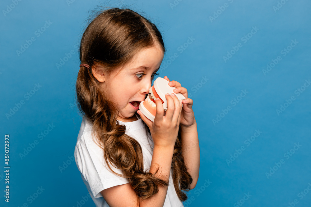 Portrait of a little girl holding a model of a jaw with teeth on blue background, playing and grimacing. Children's dentistry. Children's teeth care. Portrait of a little girl holding a model of a jaw with teeth on blue background, playing and grimacing. Children's dentistry. Children's teeth care.