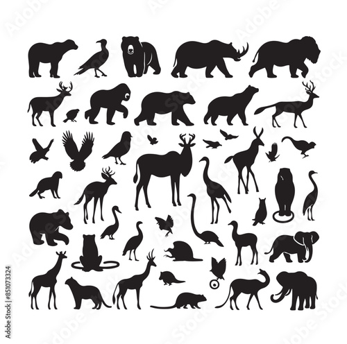 vector set of animals silhouette