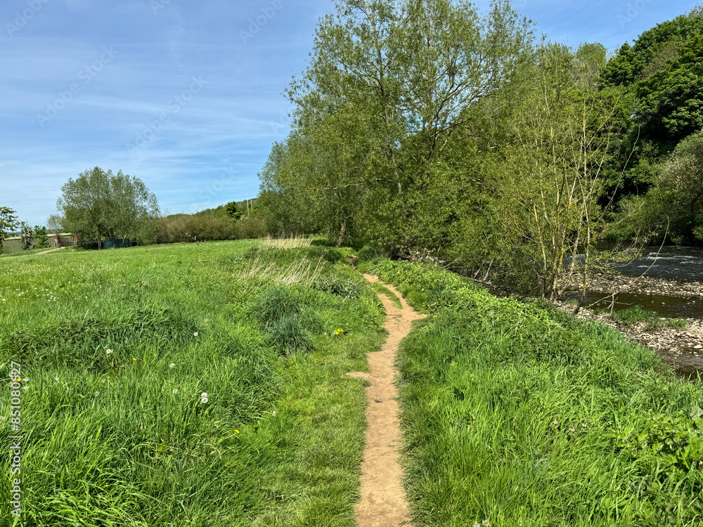 A narrow dirt path meanders through a lush green field, leading towards a cluster of trees. As a tranquil River Aire runs parallel to the path on the right in, Cottingley, UK A narrow dirt path meanders through a lush green field, leading towards a cluster of trees. As a tranquil River Aire runs parallel to the path on the right in, Cottingley, UK