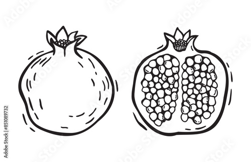 A whole pomegranate fruit and half with pulp. Vector botanical black and white set illustration in linocut style on isolated background. Drawing for food and cosmetics packaging design, menu.