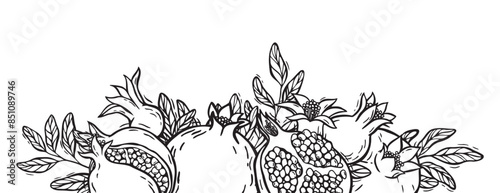 Vector border of different pomegranates and leaves. Botanical black and white composition hand drawn in linocut style on an isolated background. Drawing for packaging juices, wine, menus, postcards.