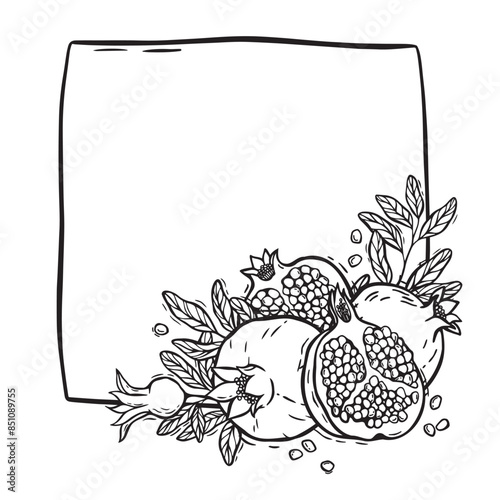 Square frame with pomegranate and leaves. Vector botanical black and white contour pattern frame, hand drawn in graphic style. Drawing for food and cosmetics packaging design, menu, card, paper.