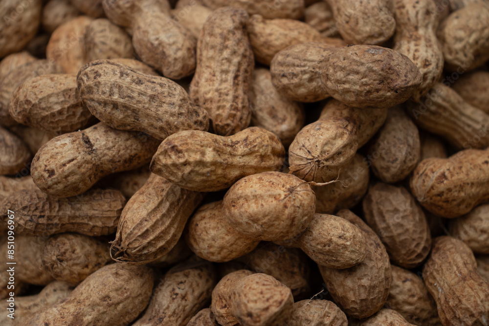 Peanuts in shell Peanuts in shell