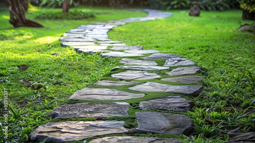 Stone path with stamped concrete and grass photo