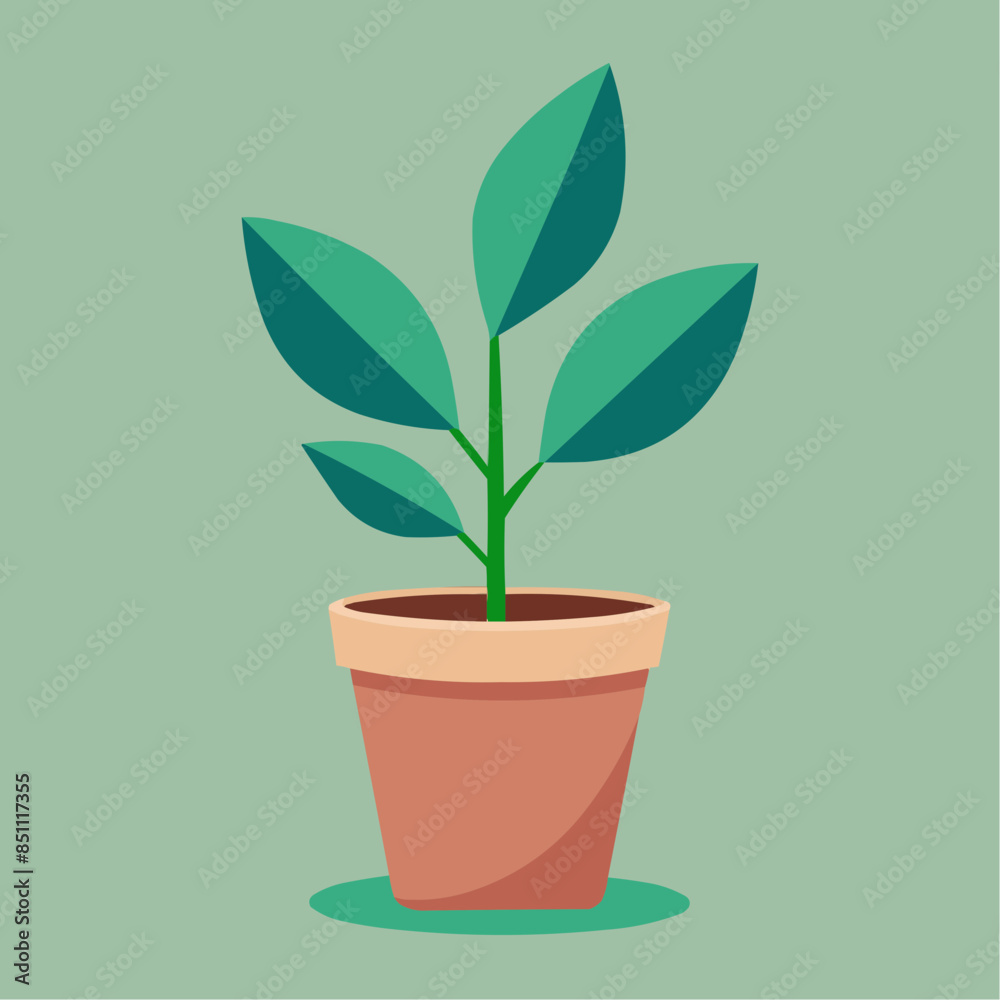 plant in pot