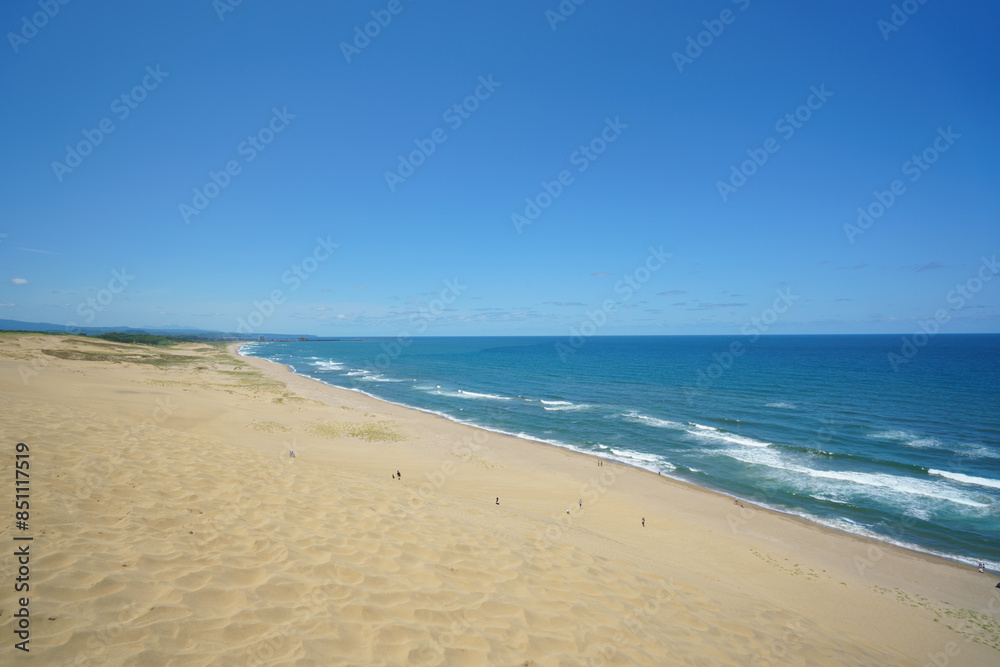 Tottori Sand Dunes Landscape under Clear Blue Sky Tottori Sand Dunes Landscape under Clear Blue Sky