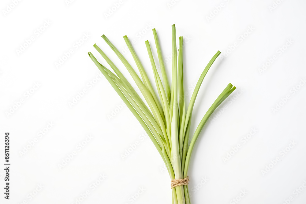 Bunch of Fresh Lemongrass on White Background Bunch of Fresh Lemongrass on White Background