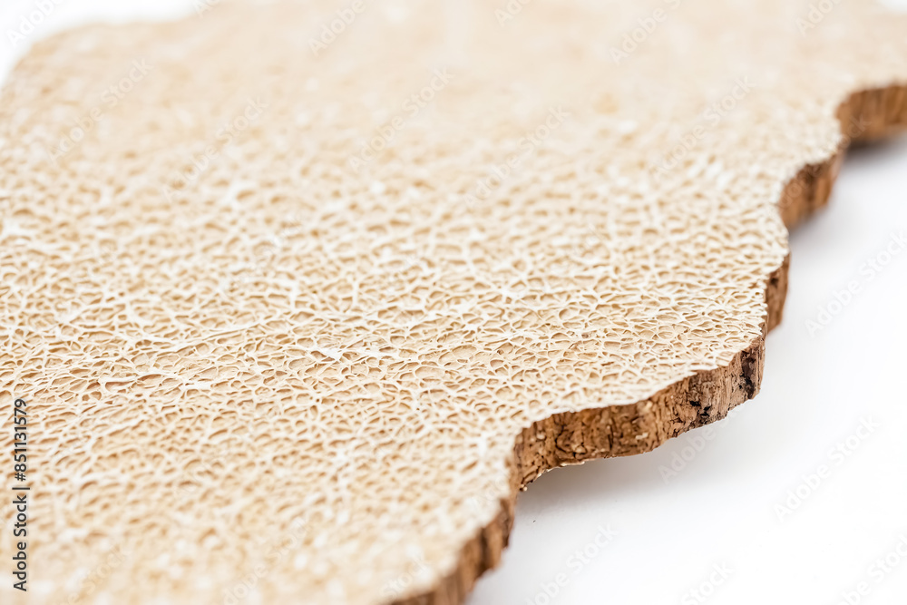 Abstract Wood Texture Background Abstract Wood Texture Background