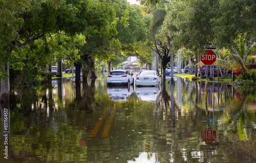 Wallpaper Mural In the wake of the 2024 flood in Hallandale Beach, Florida, this image vividly captures a neighborhood street transformed by the flooding. Vehicles are seen partially submerged as floodwaters cover th Torontodigital.ca