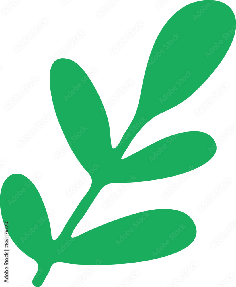 Ornaments Hand Drawn Nature Leaf Element 