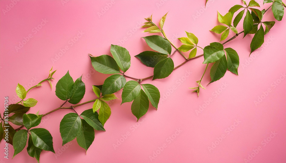Green leaves and vines with pink background, minimal style with text space Green leaves and vines with pink background, minimal style with text space