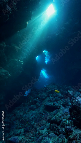 Underwater photo of rays of sunlight inside a cave. 