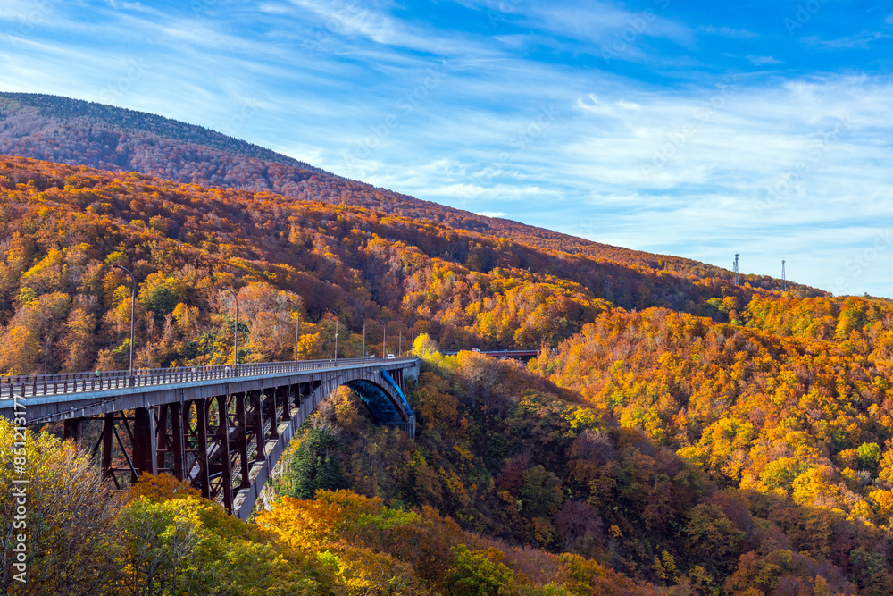 Jogakura Bridge in Aomori with Autumn Leaves landscape background. A wonderful view of Jyogakura-keiryu Stream, a famous place in the Towada-hachimantai National Park, Aomori, Japan Jogakura Bridge in Aomori with Autumn Leaves landscape background. A wonderful view of Jyogakura-keiryu Stream, a famous place in the Towada-hachimantai National Park, Aomori, Japan