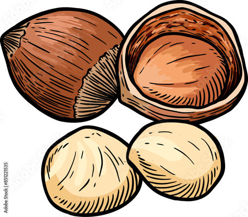Cheasnut Vector Graphic Art Illustration Clipart