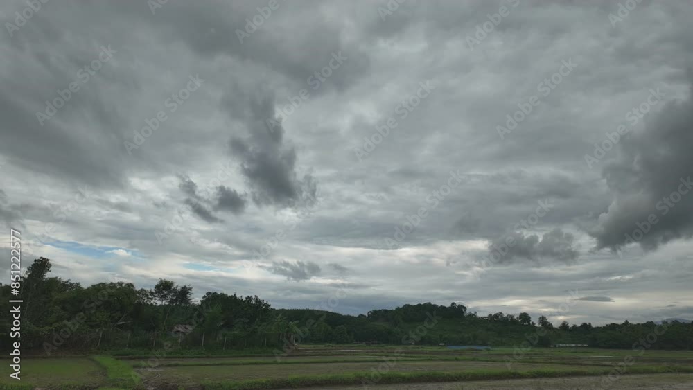 time lapse of clouds above rice field with moving camera in the evening, Thailand time lapse of clouds above rice field with moving camera in the evening, Thailand