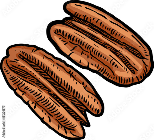 Pecan Vector Graphic Art Illustration Clipart