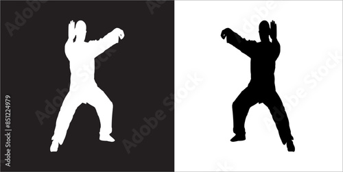  IIlustration Vector graphics of Tai-Chi Silhouette icon