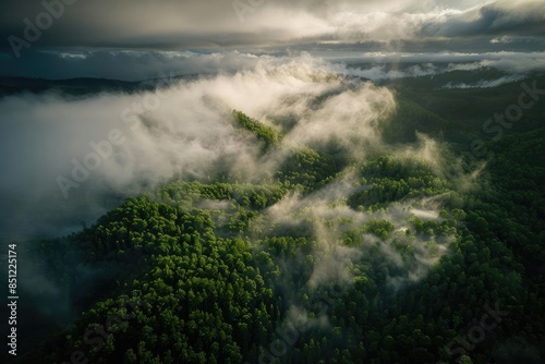 Aerial view of misty forest landscape with dramatic clouds and sunlight breaking through, capturing the beauty and tranquility of nature.