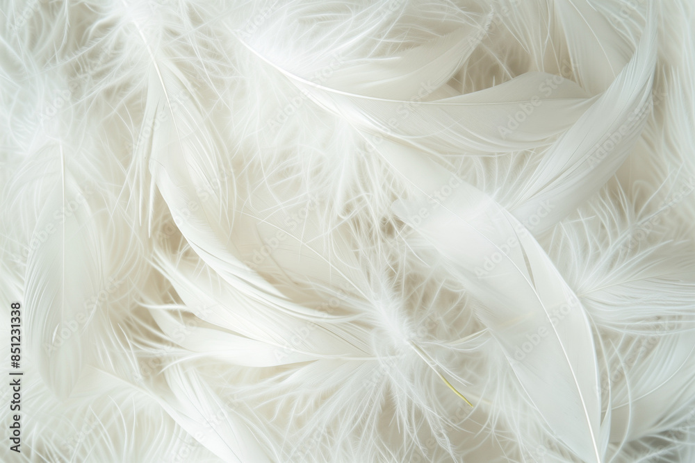 white feathers background white feathers background