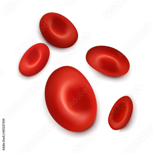 SNn erythrocytes, RBC.  Vector illustration isolated on white background.