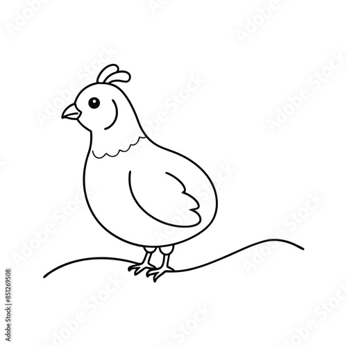 Cute Quail Vector line art and silhouette illustration
 photo