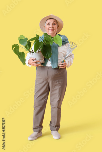 Senior gardener with plant ...