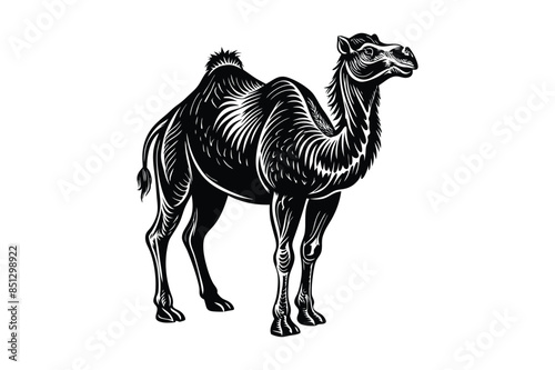 Camel silhouette artwork illustration