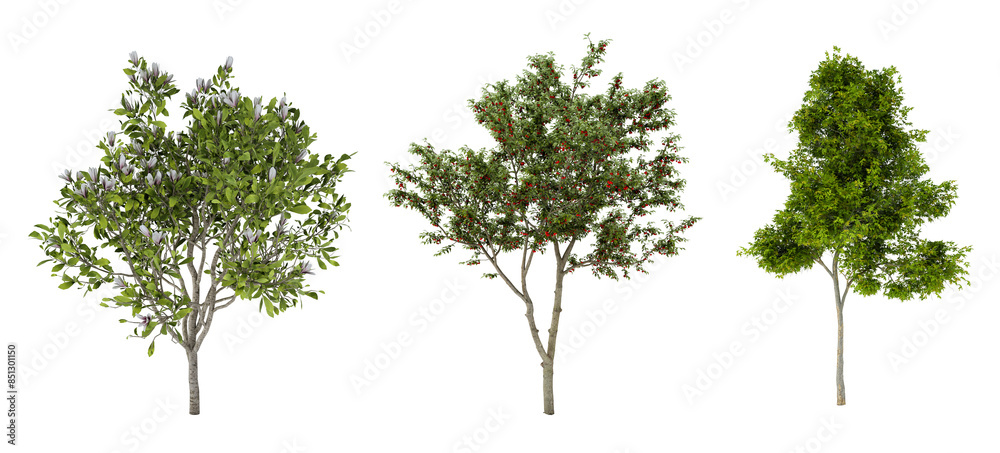 Fototapeta premium Tree set on transparent in 3D rendering die cut png