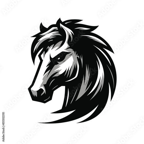 Illustration of a fierce horse in black and white