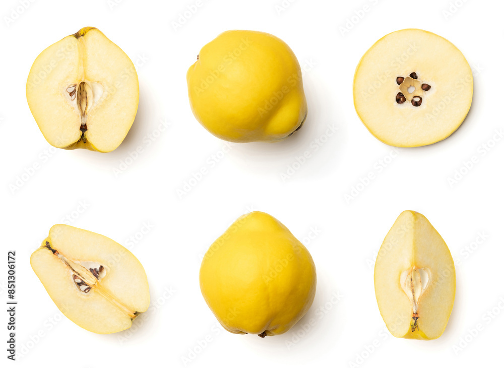 Quince collection isolated on white Quince collection isolated on white
