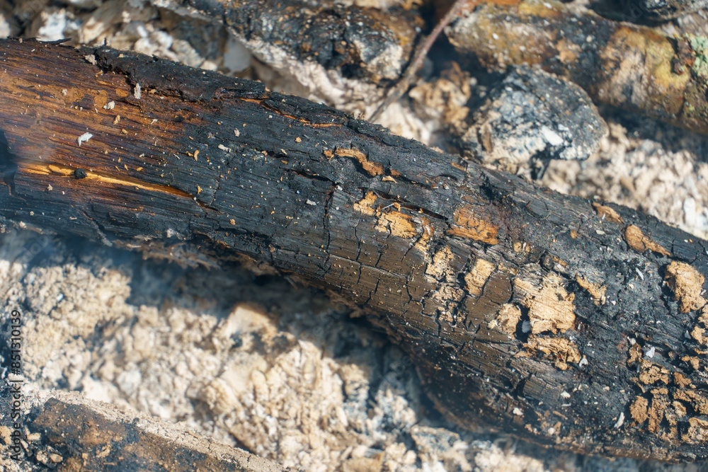 Fototapeta premium Burning wood in the campfire. Burnt wood to the state of coal. Bonfire during a picnic.