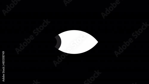 A close up of blinking and looking left eye animation with a transparent background. Vector eye illustration motion graphics