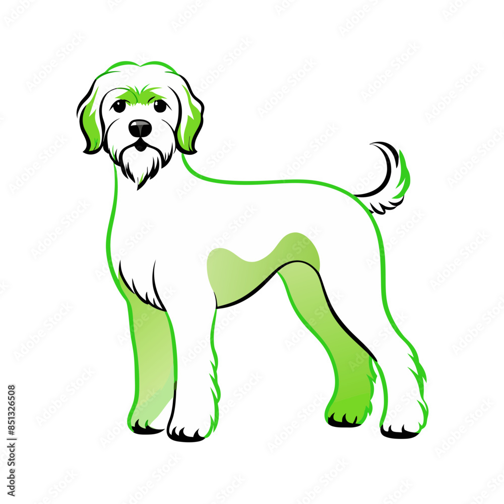 Obraz premium Barbet dog, line art, standing, green highlights, facing forward, transparent