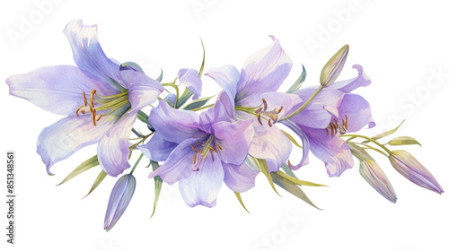 Beautiful watercolor purple lilies in full bloom, showcasing delicate petals and vibrant colors, perfect for spring and nature-themed designs.