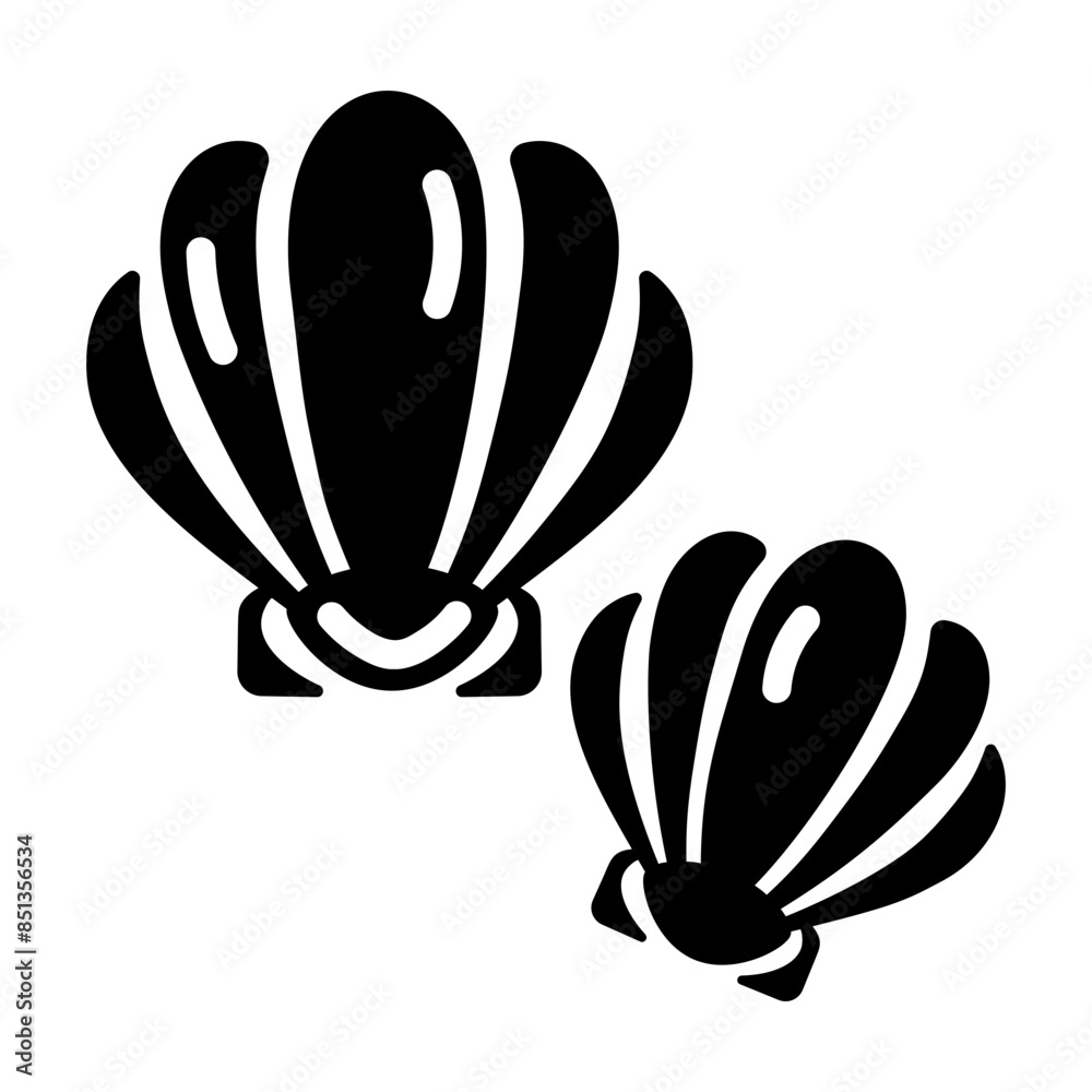 Obraz premium Scallop Shells