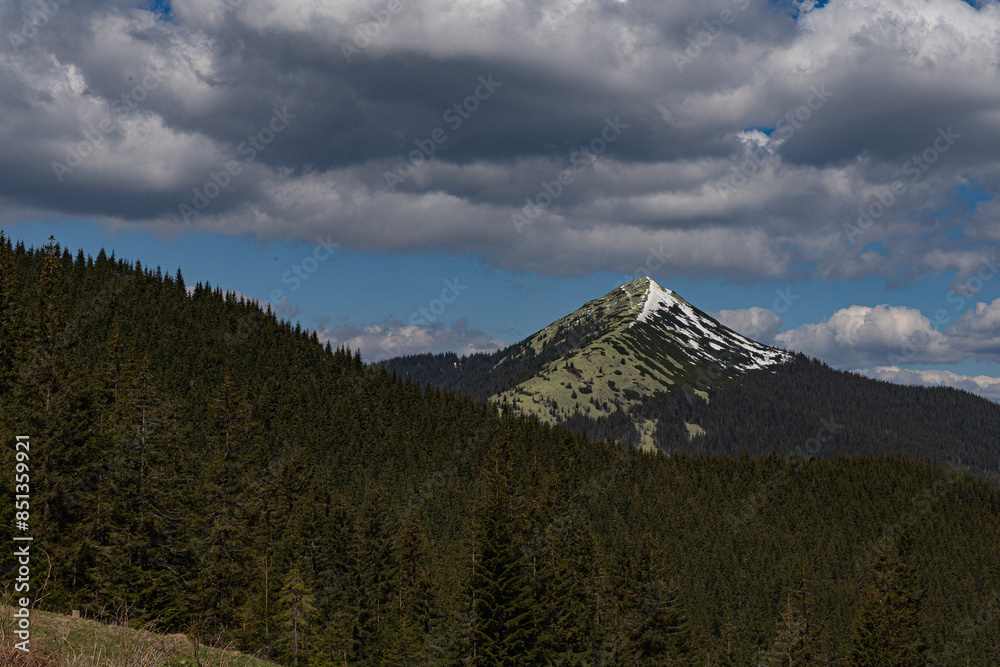 Fototapeta premium Eastern Gorgans, the top of Mount Dovbushanka in April, the Ukrainian Carpathians, a trip to the mountains