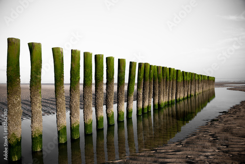 Breakwaters in wood on the beach photo