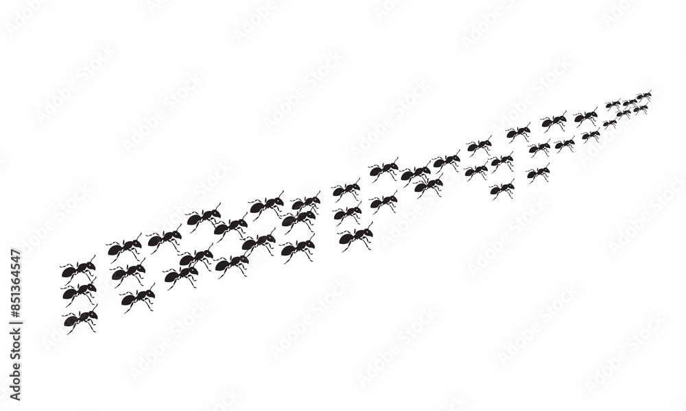 Fototapeta premium Vector silhouette of ant on white background, vector illustration.