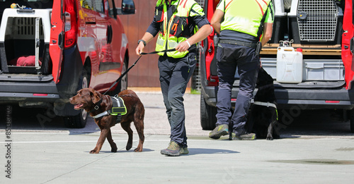 Two dog handlers Two dog handlers  with the K-9 unit during the drill with exceptional sense of smell dog photo