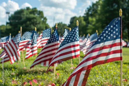 Veterans Flags. American Flag Display for Memorial Day Celebration