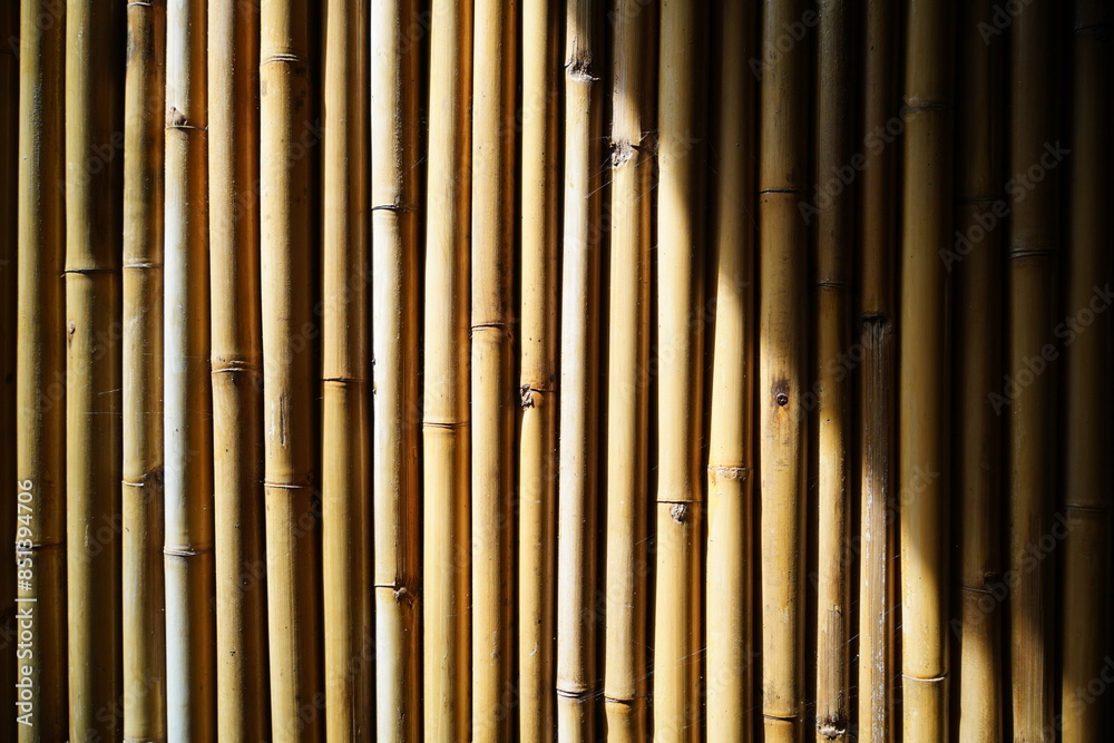 Fototapeta premium bamboo background