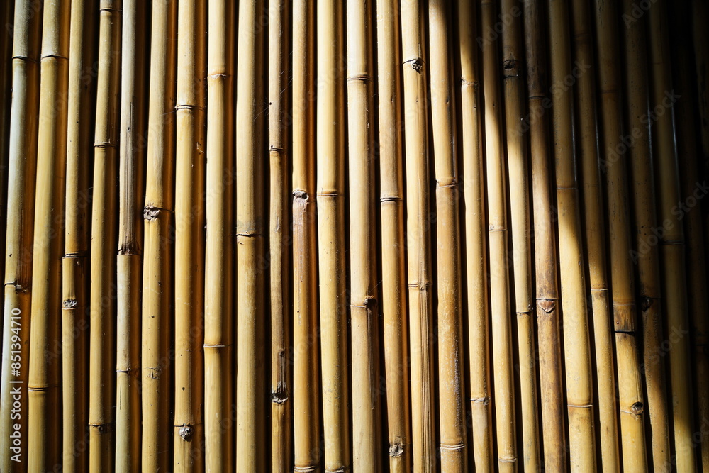 bamboo background bamboo background