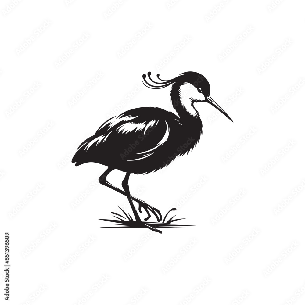Fototapeta premium Jacana Bird Silhouette - Jacana Bird Illustration - Jacana Bird Vector.