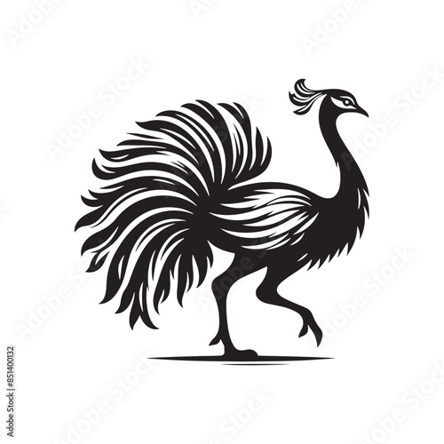 Rhea Vector Silhouette - Rhea Illustration - Bird Vector